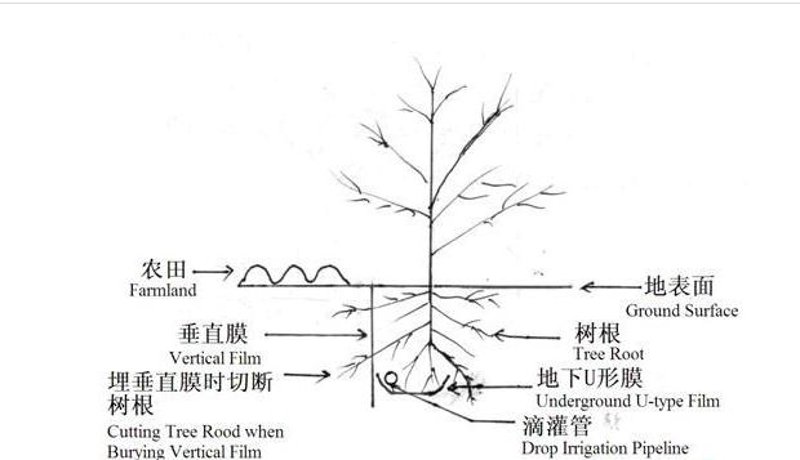 滴灌带行业动态：革新灌溉模式开启绿色农业新篇章